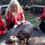 P2 returned to the Secret Garden this week and everyone had a great time exploring!
We are very grateful to Mrs Waddell and her helpers who gave up their time at the weekend to clear the space of nettles and weeds to make it easier for us to play!